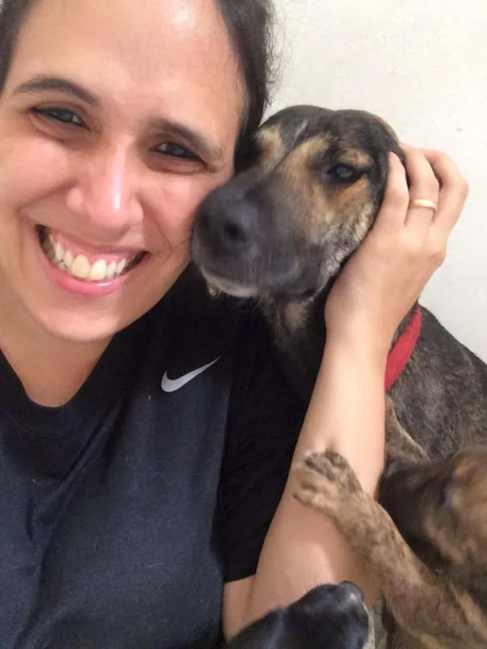 Cachorro ra a SRD idade 1 ano nome MILKA