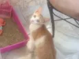 Nao tem nome