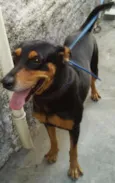 Filó