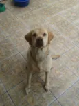 MARLEY