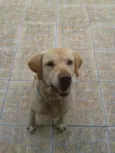 MARLEY