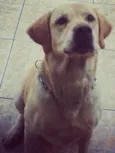 MARLEY
