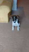 TITA