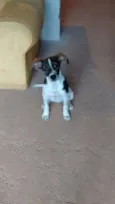 TITA