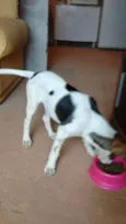 TITA