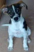 TITA