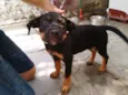 Tufão