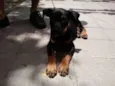 Tufão