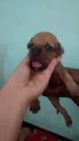 Ainda sem nome