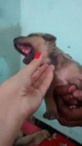 Ainda sem nome