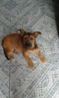 Bob