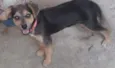 Nina