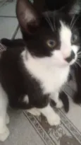 JOHN