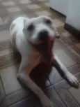 Sophie