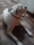 Sophie