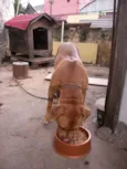 Bethoven