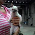 LILÍ e VIVÍ