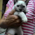 LILÍ e VIVÍ
