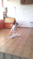 paçoca