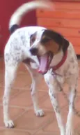 paçoca