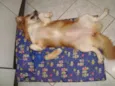 PITUXA