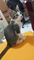 Nimi