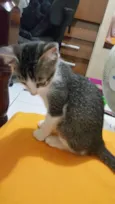 Nimi