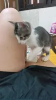 Nimi