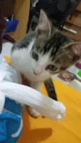 Nimi