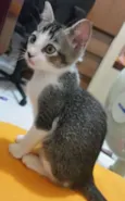 Nimi