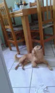 tomas e mila