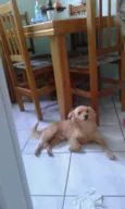 tomas e mila