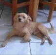 tomas e mila