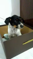 Flop