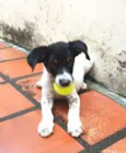 Flop