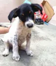 Flop