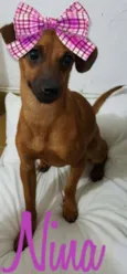 Nina