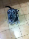 Estopinha