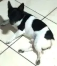 Sansão