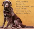 Benjamin