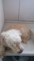 varios