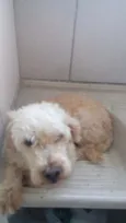 varios