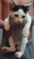 Miu