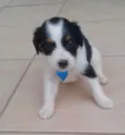 nao tem