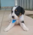 nao tem
