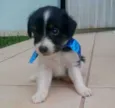 nao tem