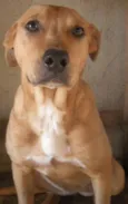 Princesa