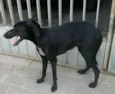 Indefinido