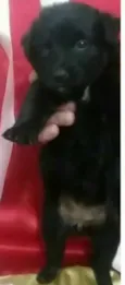 Na foto