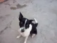 Nina